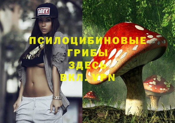 ешки Верхний Тагил
