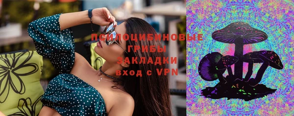 а пвп мука Чердынь