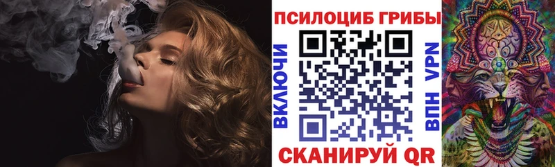 Галлюциногенные грибы Psilocybine cubensis  наркошоп  Нижневартовск 